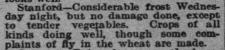 Article about Stanford's Frost (1889-05-29)